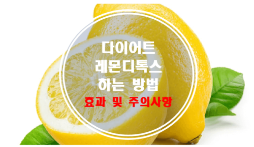 다이어트 레몬 디톡스