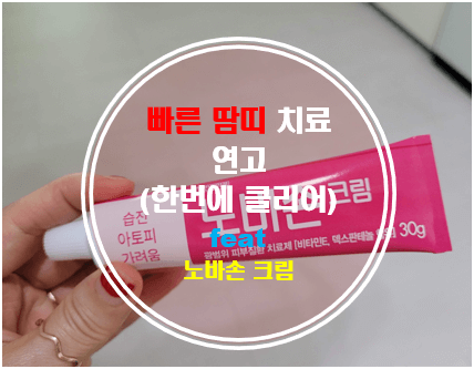빠른 땀띠 치료제 노바손 연고